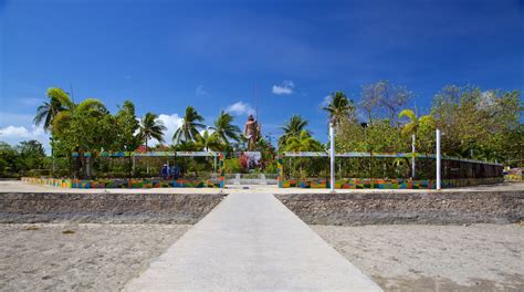 lapu lapu zoos|THE 10 BEST Things to Do in Lapu Lapu 2024 (with Photos).